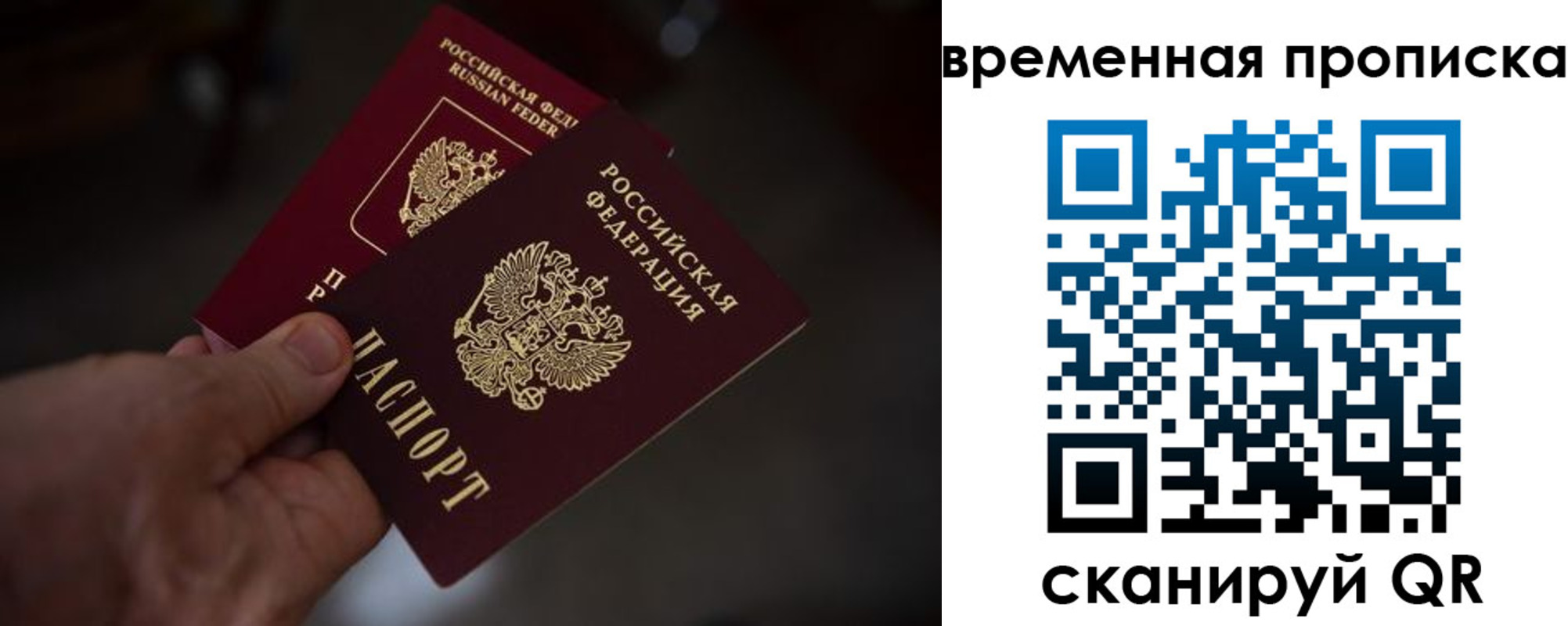 прописка в Курганинске